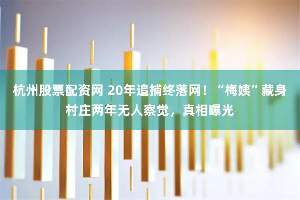 杭州股票配资网 20年追捕终落网！“梅姨”藏身村庄两年无人察觉，真相曝光